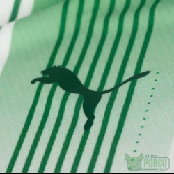 Camisa Palmeiras Puma II 23/24