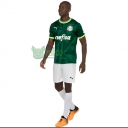 Camisa Palmeiras Puma I 23/24