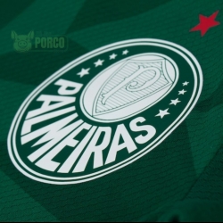Camisa Palmeiras Puma I 23/24