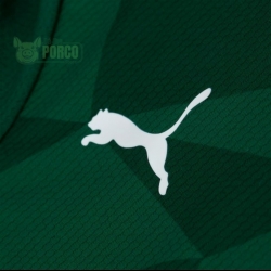 Camisa Palmeiras Puma I 23/24