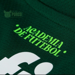 Camisa Palmeiras Puma I 23/24