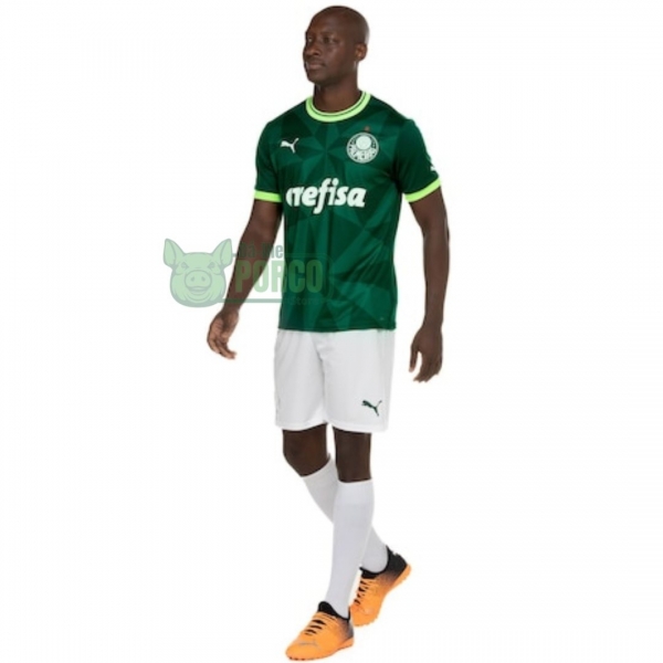 Camisa Palmeiras Puma I 23/24