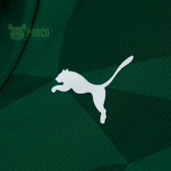 Camisa Palmeiras Puma I 23/24
