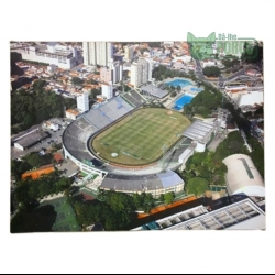 Placa MDF Palmeiras Estádio Palestra Itália 30cm