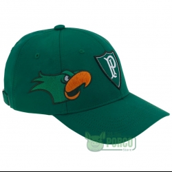 Boné Infantil Palmeiras Aba Curva Símbolo Palestra - Verde