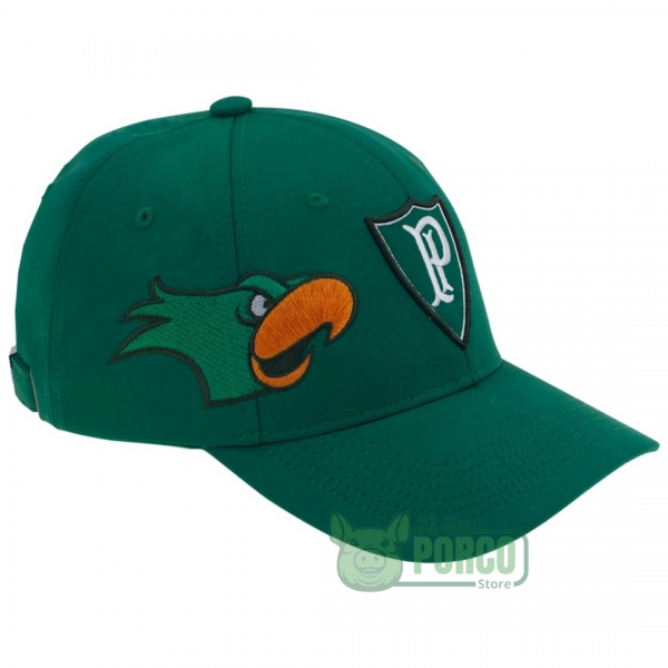 Boné Infantil Palmeiras Aba Curva Símbolo Palestra - Verde