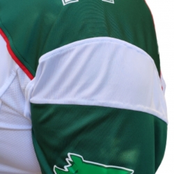 Camisa Palmeiras Futebol Americano Masculina - Branco