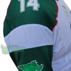 Camisa Palmeiras Futebol Americano Masculina - Branco