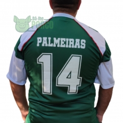 Camisa Palmeiras Futebol Americano Masculina - Verde