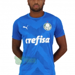 CAMISA PUMA PALMEIRAS GOLEIRO I 23/24
