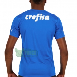 CAMISA PUMA PALMEIRAS GOLEIRO I 23/24
