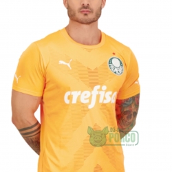CAMISA PUMA PALMEIRAS GOLEIRO III 23/24