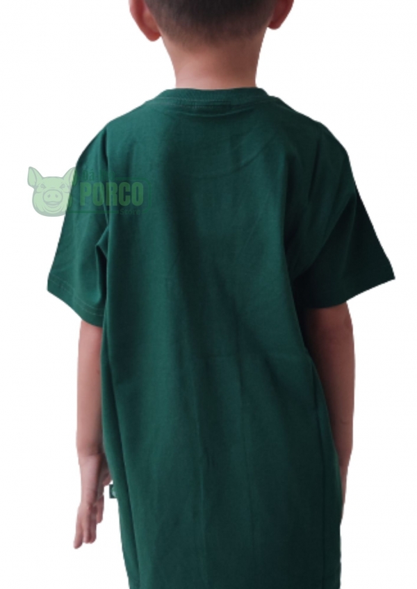 Camisa Infantil Casual Evolução dos Escudos Palmeiras