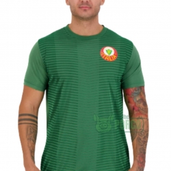 Camisa Palmeiras Palestra Itália