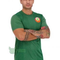 Camisa Palmeiras Palestra Itália