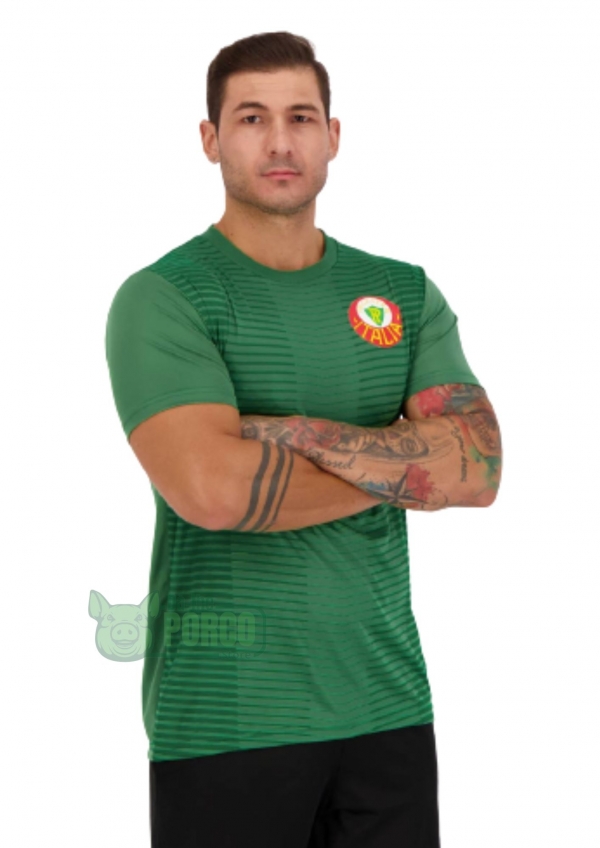Camisa Palmeiras Palestra Itália