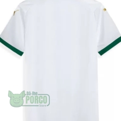 Camisa Palmeiras Puma II 24/25
