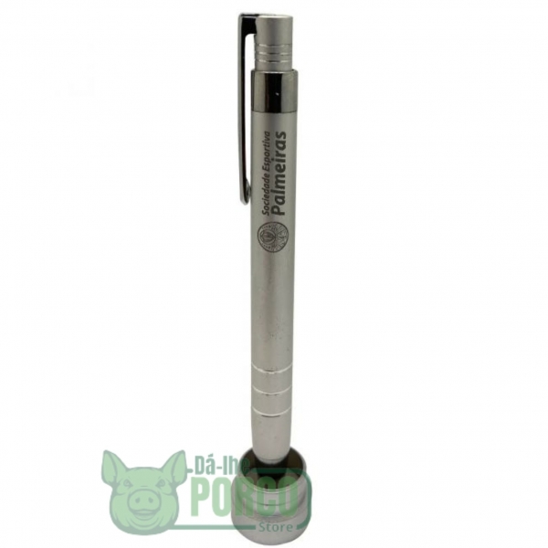 Caneta Prata Com Tubinho Palmeiras